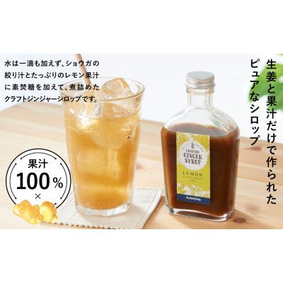 ふるさと納税 静岡市 ジンジャーシロップ　レモン2本セット |  | 01