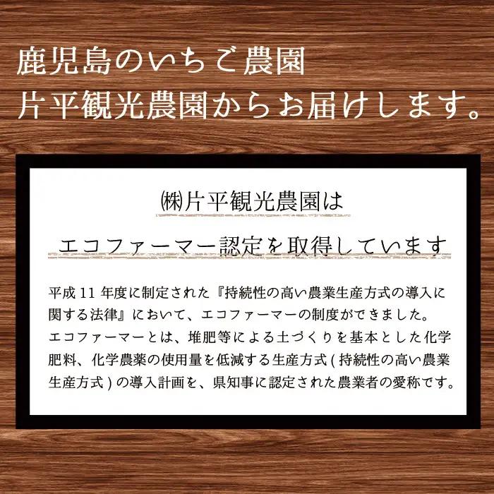No.907 苺ジャム(200g×4本)と不知火ジャム(200g×2本) 国産 九州産 鹿児島県産 いちご イチゴ 苺 不知火 しらぬい ジャム フルーツ 果物 柑橘 手作り 手造り 調味料 小分け 