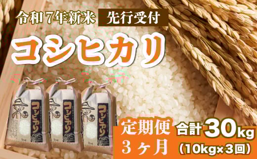 【先行受付】令和7年新米《３か月定期便》コシヒカリ 白米10kg（5kg×2袋）2025年8月下旬～発送 お米 米 精米 ごはん ご飯 広島県 三原市 187007