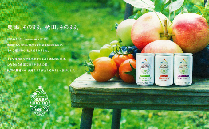 「sonomama」ミックス（160g×10本）