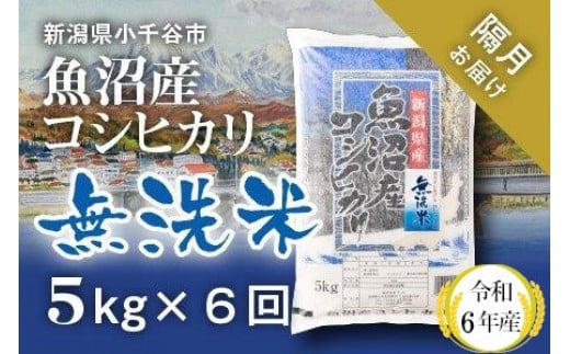 
KT74P346 令和6年産 無洗米 魚沼産コシヒカリ定期便5kg×6回（隔月お届け）（米太）
