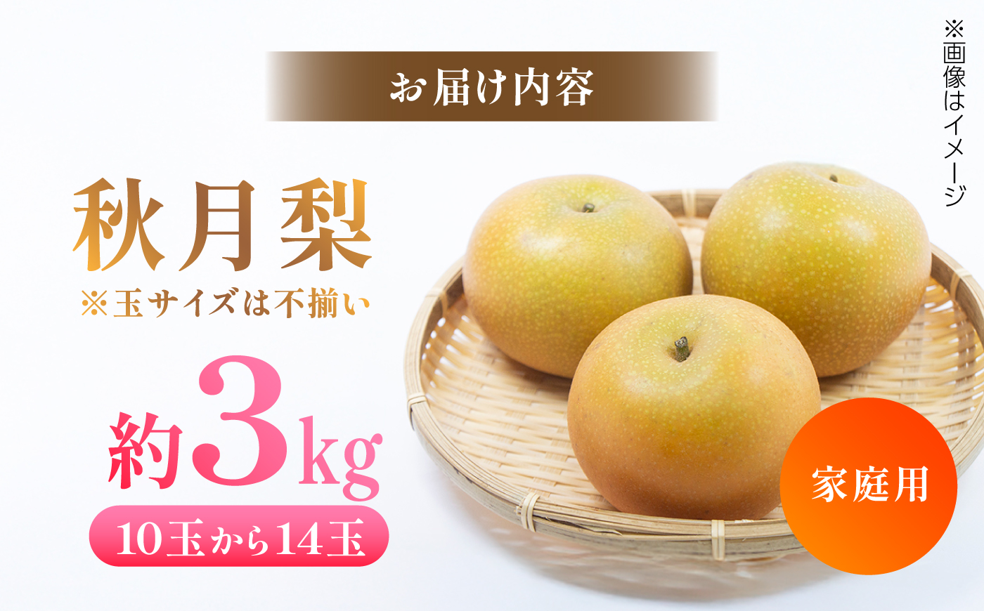 【先行予約】 秋月梨 約3kg 家庭用 〈2026年9月上旬～9月中旬頃発送〉 / 梨 なし ナシ  果物 フルーツ デザート 秋 甘い ジューシー 【川渕果樹園】 [ATHX013]