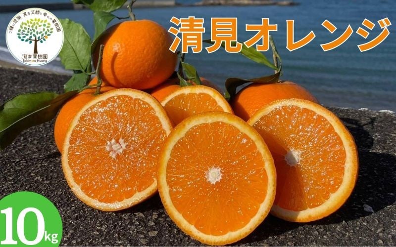 
            【期間限定・2025/4/31まで】葉付き清見オレンジ 10kg L～4L （サイズ混合）※2026年4月上中旬から順次発送予定※ / オレンジ きよみオレンジ きよみ 柑橘 フルーツ 果物 和歌山県 田辺市 【tmk002】
          