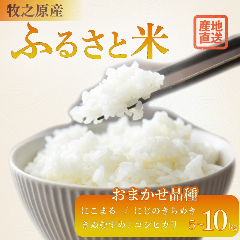 【ふるさと納税】選べる 容量 5kg ～ 10kg お米 品種 おまかせ 【 にこまる にじのきらめき きぬむすめ コシヒカリ 】 お米 米 白米 おこめ こめ 精米 ご飯ごはん おいしい 国産 ごはん ご飯 お米 5kg 米 産地直送 農家直送 静岡県 牧之原 大塚ファーム
