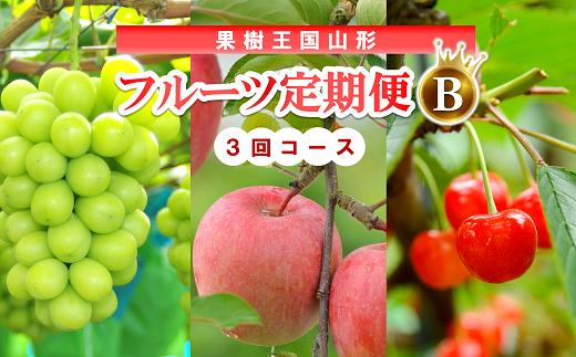 【令和9年産先行予約】 《定期便3回》 果樹王国山形 南陽のフルーツ定期便B 『マルエ青果』 果物 くだもの フルーツ 山形県 南陽市 [1494-R9]