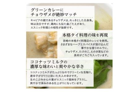 みやざきのグリーンカレー(150g×5個セット)