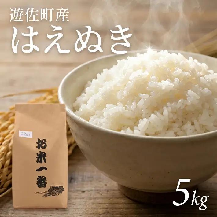 (令和8年11月中旬お届け)はえぬき 5kg 令和8年産米 山形県遊佐町産 ご希望時期頃お届け 東北 山形県 遊佐町 庄内地方 米 お米 精米 白米 庄内米 ブランド米 ご飯 ごはん[1734R08M11b] 