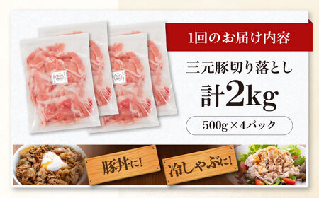 【全12回定期便】 三元豚 切り落とし 計2kg（500g×4パック） 《喜茂別町》【平田牧場】 肉 豚肉 生姜焼き 小分け 冷凍 冷凍配送 定期便[AJAP037]