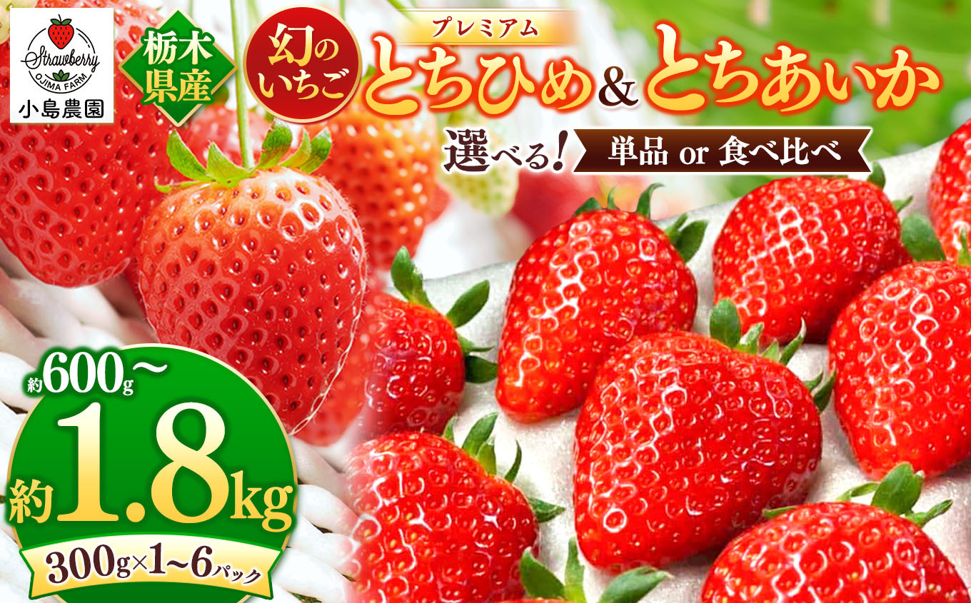 
            とちひめ とちあいか プレミアム 幻 の いちご 選べる 容量｜600g 1200g 1800g 希少 柔らかい 果肉 大粒 ジューシー 果汁 いちご 苺 特産品 ストロベリー strawberry スイーツ お取り寄せ ご褒美 贈答用 プレゼント ご褒美 栃木県 真岡市
          