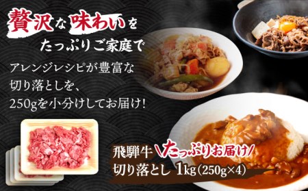 ＼贅沢な味わいをご家庭で／ 【飛騨牛】切り落とし 1kg (250g×4)【肉のひぐち】 国産 ブランド牛 和牛 BBQ キャンプ  [TDC013]