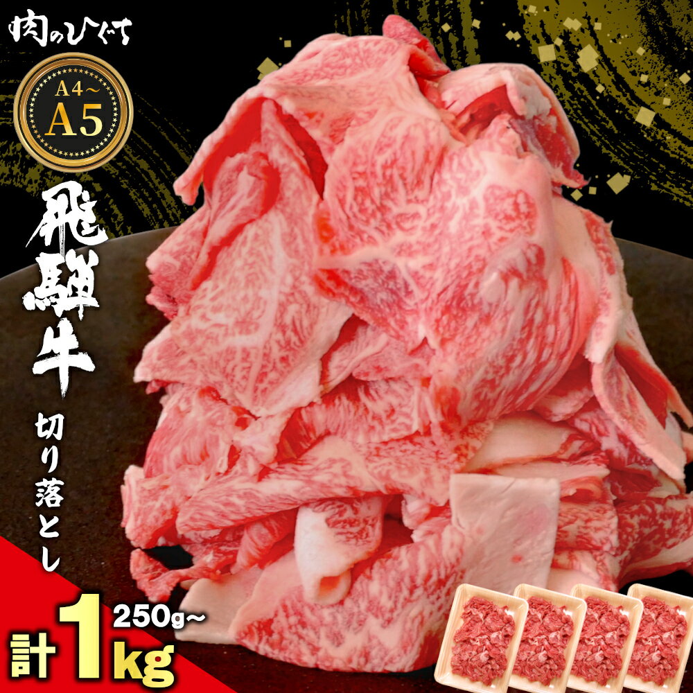 【ふるさと納税】【12月16日入金分まで年内発送】 飛騨牛 切り落とし 250g～1kg A5 A4 国産 牛 黒毛和牛 和牛 牛肉 切落し 切り落し 薄切り 訳あり 牛丼 すき焼き しゃぶしゃぶ 炒め物 贅沢 霜降り ロース バラ もも 肉のひぐち 年内発送 【最速配送/発送時期が選べる】