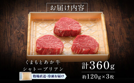 GI認証 くまもとあか牛シャトーブリアン 約120g×3 ステーキ BHAS014 ステーキ