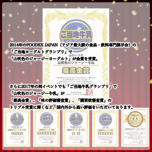 【山のいぶき】山吹色のジャージーヨーグルト 食べきり 乳脂肪分 5％以上 低温殺菌 素材の味 ジャージー牛乳 飲むヨーグルト プレーンヨーグルト ざらめ 各4本 計12本 ギフト 贈答 セット FOO