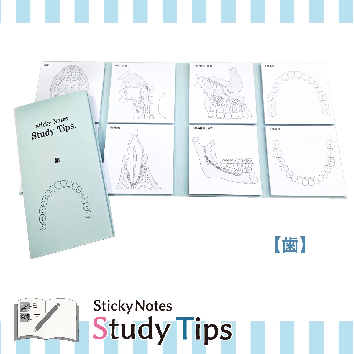
                  5-9_医療付箋 【Sticky Notes Study Tips】 (スタディチップス) 歯｜付箋 歯 医師 医者 医学 からだ ほね 学習 付せん 勉強 セット 文具 メモ プレゼント 便利 書き込み 役立 塾 メモ帳 ギフト 子供 子ども 孫 受験 予習 復習 宿題 8種類 ブック型
                