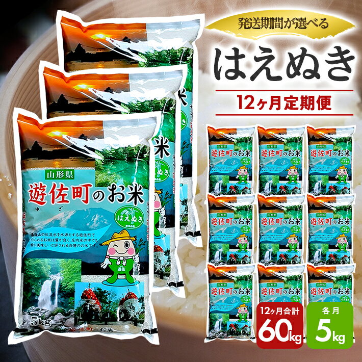 【ふるさと納税】≪12ヶ月定期便≫ はえぬき 5kg×12ヶ月連続 計60kg 山形県遊佐産 ご希望期間の毎月中旬頃お届け 東北 遊佐町 庄内地方 庄内平野 米 お米 精米 白米 庄内米 ごはん ご飯 セット 連続定期便