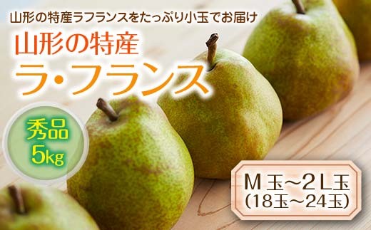 《先行予約 2026年度発送》山形の特産ラ・フランス5kg☆小玉をお届け！  なし ナシ 梨 デザート フルーツ 果物 くだもの 果実 食品 山形県 FSY-0115