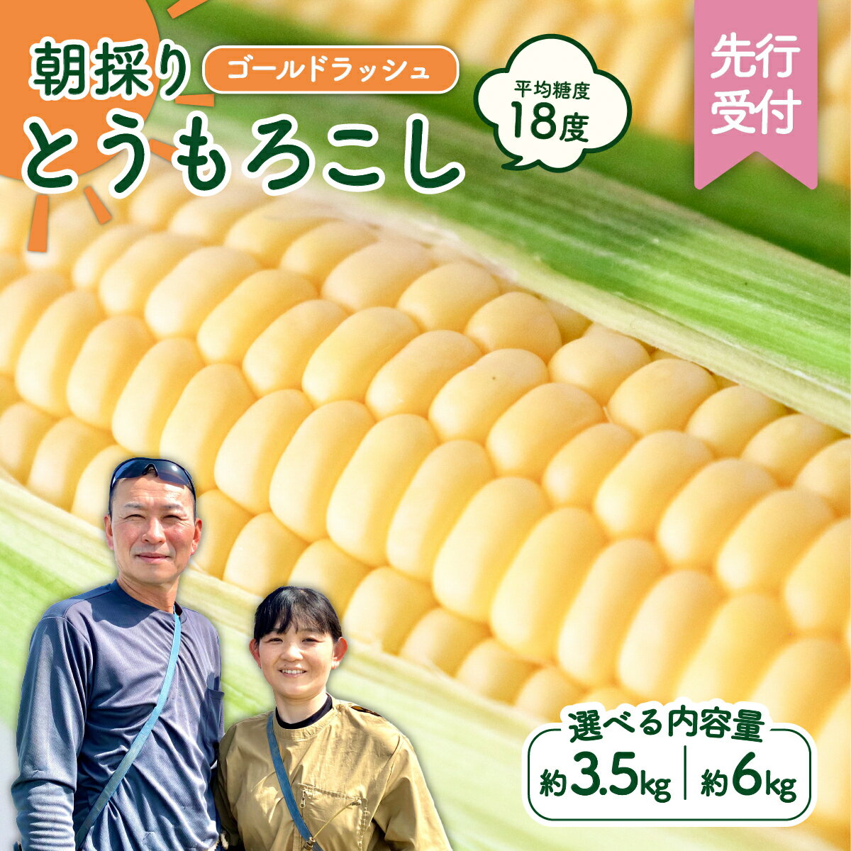【ふるさと納税】【先行予約 令和8年産 2026年6月下旬以降発送 】 朝採り とうもろこし （ ゴールドラッシュ ） 【 選べる内容量 】 トウモロコシ 朝採り 甘い 新鮮 6kg 3.5kg スイートコーン コーン 野菜 極甘 岩田さん 2026