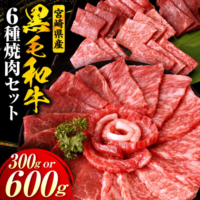 【ふるさと納税】【選べる内容量】宮崎県産黒毛和牛(経産)6種焼肉セット