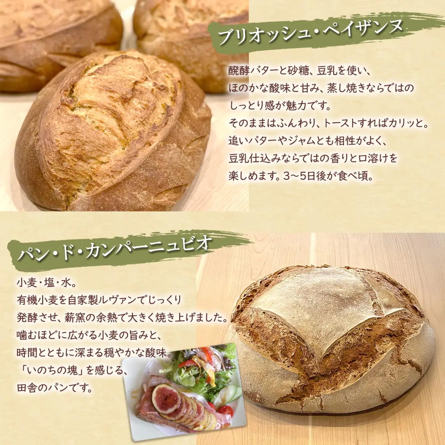 【薪窯焼き】香り高い大きなパン 3種セット (カンパーニュ・レザン・ブリオッシュ) ハード系パン レーズン パン セット K2686