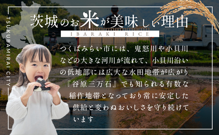 【 最短 翌日発送 】 茨城県産 ミルキークイーン 5kg