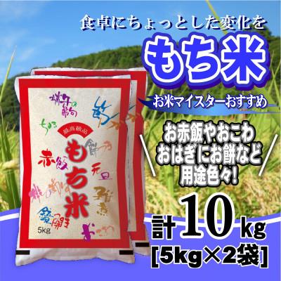 ふるさと納税 大網白里市 【令和7年産】千葉県産「もち米」精米 10kg(5kg×2袋)