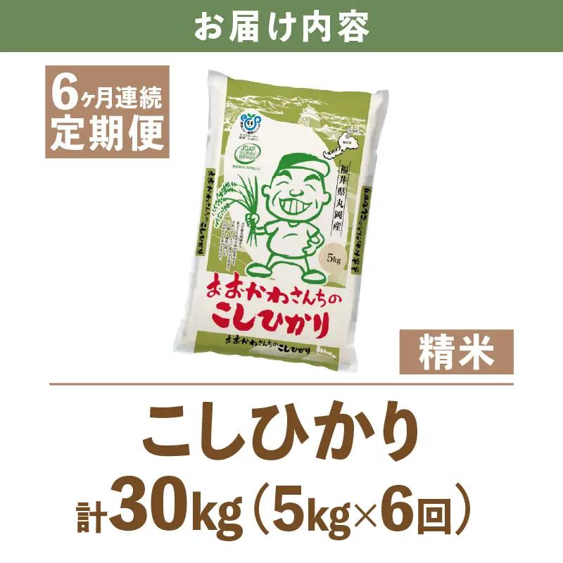 【令和7年産】 【6ヶ月連続お届け定期便】おおかわさんちのコシヒカリ 5kg × 6回 計30kg 精米 [E-10802]
