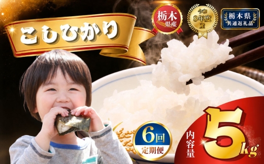 【令和8年産】定期便6回 コシヒカリ 5kg | 米 こめ 白米 精米 お米  栃木米 ブランド米 【栃木県共通返礼品 栃木県産】 栃木県 下野市 しもつけ市