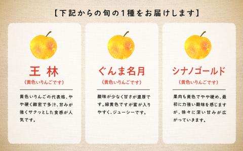 《2025年11月中旬以降発送》羽山りんご 品種おまかせ(中早生)5kg 【羽山果樹組合】