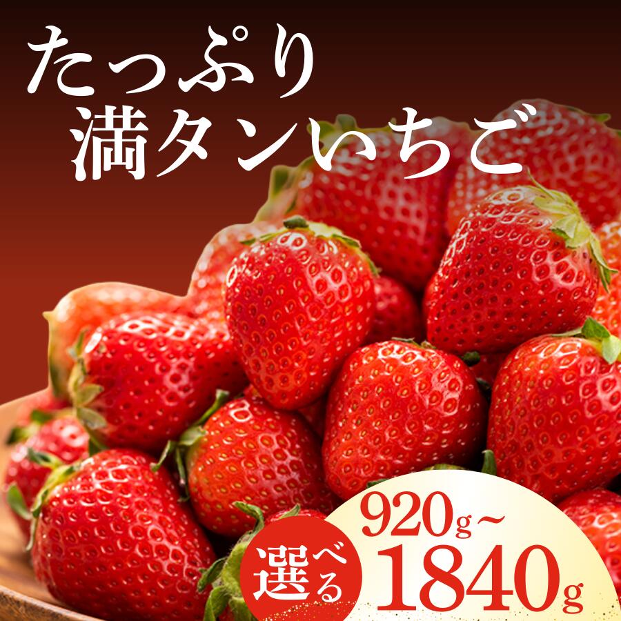 【ふるさと納税】 いちご たっぷり満タンいちご 2026年3月から5月発送予定 恋みのりかおり野から厳選 いちご 恋みのり かおり野 イチゴ 苺 小粒 中粒 ジューシー 甘い 果物 フルーツ たっぷり 大容量 大人気 おすすめ 静岡 果物 フルーツ 甘い 南伊豆町産 静岡県 静岡