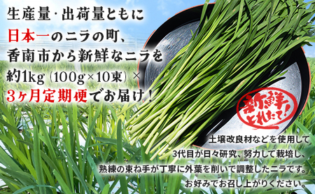 生産量日本一香南市のニラ 1kg 3ヶ月定期便 合計3kg - ニラ 香南市産 にら 朝採れ 産地直送 香味野菜 ニラ Won-0015