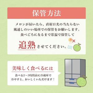 2026年先行予約！【発送5月上旬～】濃厚な甘さとジューシーな果肉！クインシー メロン 1玉 めろん 赤肉 人気 おすすめ クインシー 甘い フルーツ 濃厚 くだもの  自家栽培 めろん 贈答用 贈り