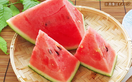【先行予約】 大玉スイカ 3Lサイズ　2玉入り 約16kg すいか 大玉 熊本 フルーツ 野菜 果物 【日本フルーツ株式会社】[ZFJ046]