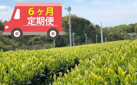 【6ヶ月連続お届け】＜人気の3種飲み比べ＞鶴製茶園の八女茶セット　026-T004