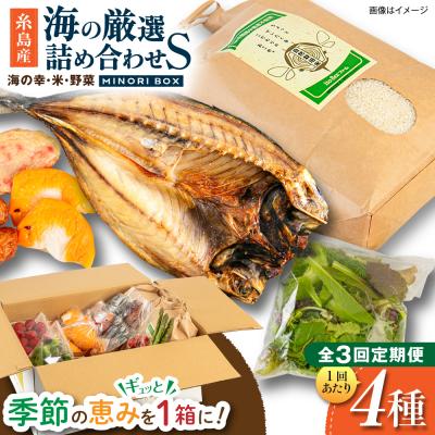 ふるさと納税 糸島市 全3回定期便 糸島産 魚 米 野菜 果物 厳選詰め合わせ MINORI BOX S [AOP020]