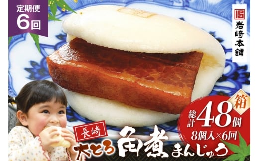 BJ051 岩崎本舗 【6回定期便】大とろ角煮まんじゅう 8個入 (箱) [長崎県 島原市]