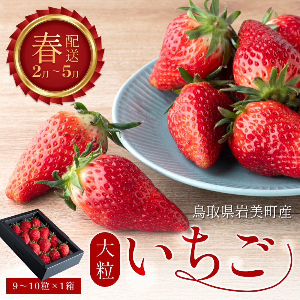 【ふるさと納税】【2026先行予約】米村農園「大粒いちごB」｜鳥取 岩美 苺 いちご イチゴ 果物 フルーツ とっておき あきひめ べにほっぺ いずれか【42002】