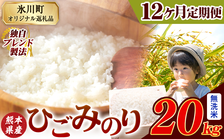 【12ヶ月定期便】ひごみのり 無洗米 熊本県産 ブレンド米 20kg 熊本県産 ふるさと納税  精米 米 こめ ふるさとのうぜい コメ お米 おこめ《申込み翌月から発送》---hkw_hgmtei_5