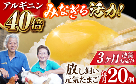 【全3回定期便】 アルギニン 元気たまご 20個 自然栽培 平飼い【浅田峠自然塾】 卵 20個 たまご 鶏卵 玉子 国産 卵かけご飯 たまごかけご飯 すき焼き 目玉焼き [EA02] げんきたまご たまご料理 卵スイーツ