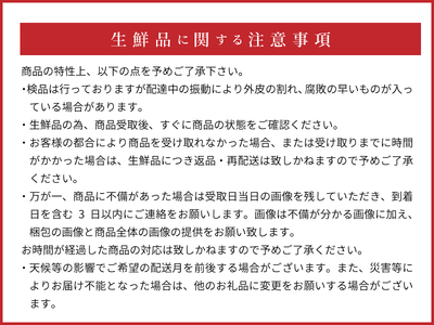 【2027年先行予約】和歌山県産 有田の八朔 (はっさく) 約10kg 【Mサイズ】まごころ手選別 _ZE6074n