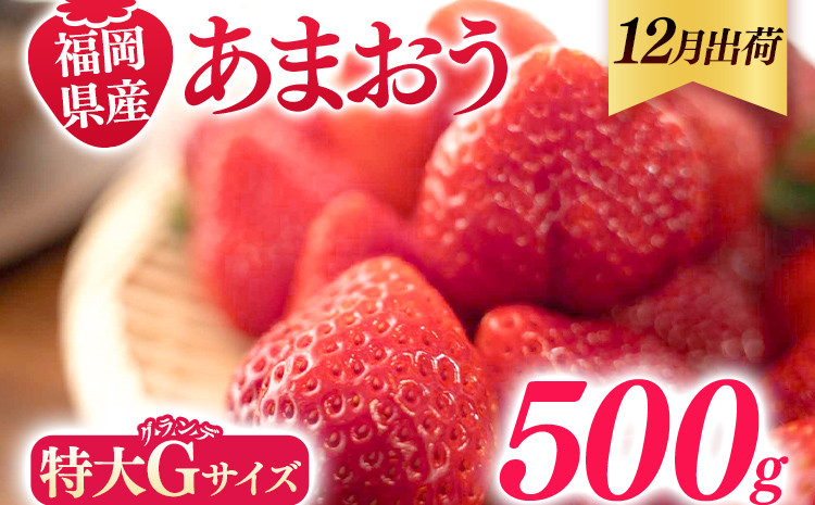 
                  福岡県産 あまおう 500g （250g×2パック） いちご 12月中発送 いちご 苺 フルーツ 果物 くだもの 大粒Gサイズ グランデ 農家直送 大粒 不揃い 福岡県 福岡 九州 グルメ お取り寄せ
                