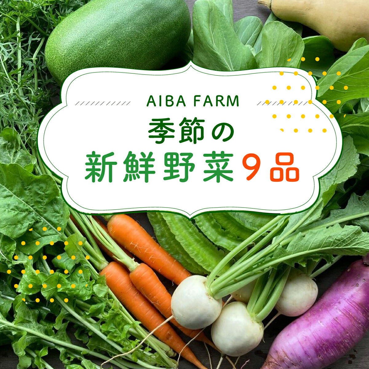 【ふるさと納税】【栽培期間中農薬不使用】 農家直送！「9品」季節の新鮮野菜詰め合わせセット AIBA FARM 野菜セット 無農薬 野菜 千葉県 富里市 直送野菜 お野菜セット 旬野菜 季節野菜 農家直送 採れたて とれたて やさい 詰め合わせ セット TML001