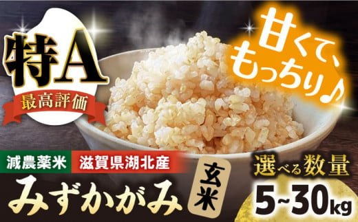 令和6年産【新米】 滋賀県湖北産 湖北のみずかがみ 10kg (玄米)　滋賀県長浜市/株式会社エース物産[AQAK019]