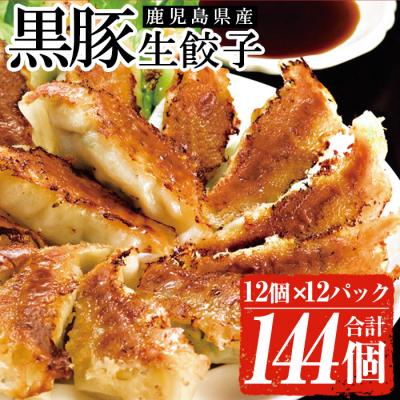 ふるさと納税 いちき串木野市 鹿児島黒豚生餃子 合計144個(12個×12P)タレ付き!国産野菜使用