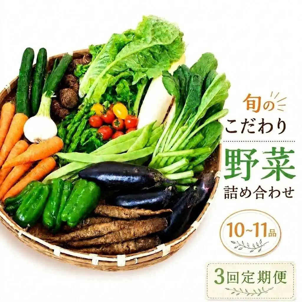 【先行予約】 【3回定期便】 新鮮野菜セット(10～11品)