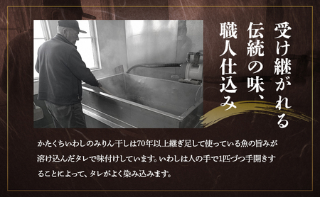 みりん干し いわし 小分け包装 10袋セット みりん干し
