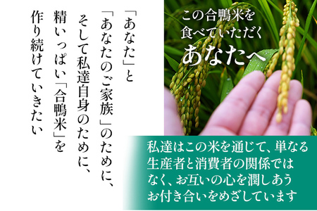 合鴨米「元気つくし」（玄米・5ｋｇ）定期便6回コース　BI10　※2023年10月中旬より順次出荷予定(隔月発送予定)