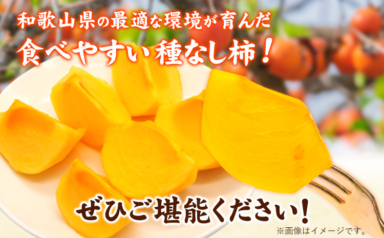 【秋の味覚】【先行予約】和歌山産のたねなし柿ご家庭用約7.5kg《2026年9月上旬-11月中旬頃出荷》かき種なし---wsh_gsk163_9j11c_25_16000_75---st-p