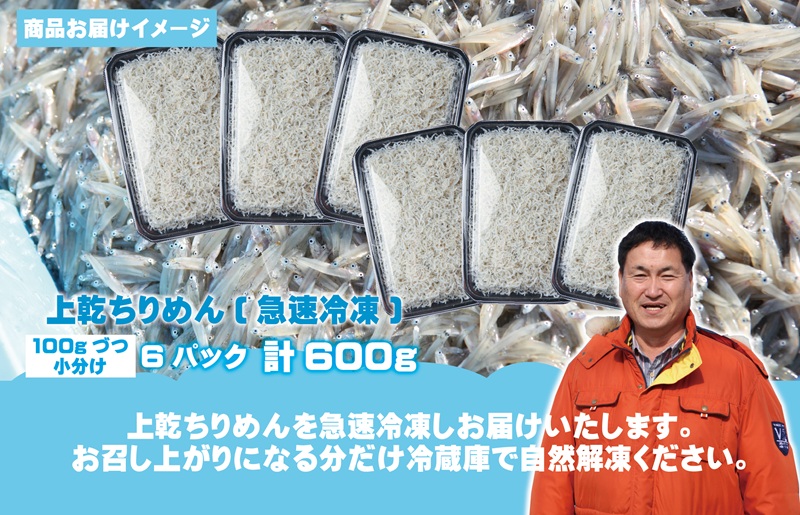 上乾ちりめんしらす 600g【小分け 100g×6P シラス 国産 魚介類 しらす ご飯のお供 海鮮丼 冷凍】 G2183