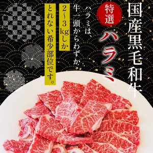 国産 ハラミ 冷凍 500g 特選 ハラミ