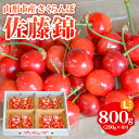 【ふるさと納税】山形市産 さくらんぼ【佐藤錦】Lサイズ 800g(200g×4P) 【令和7年産先行予約】FS24-754